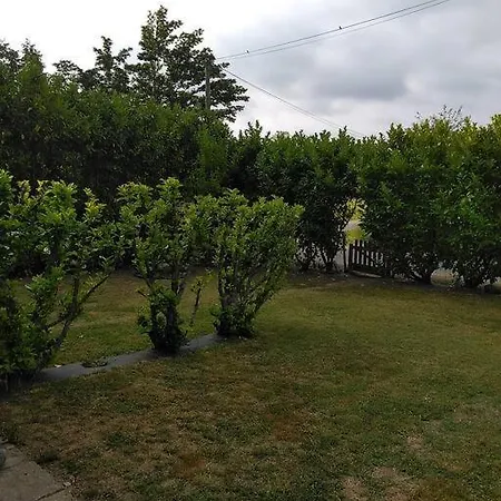 Le Trefle Studioescos *