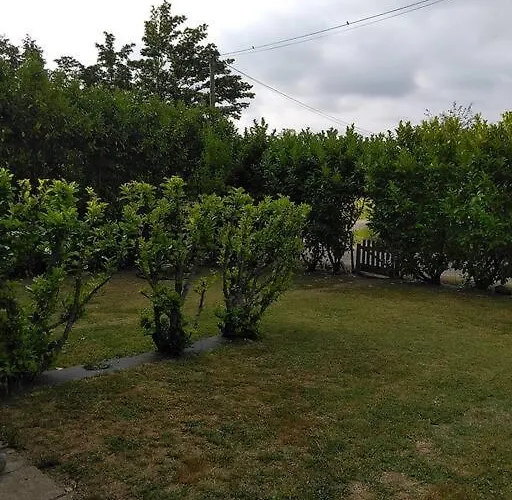 Le Trefle Studioescos *